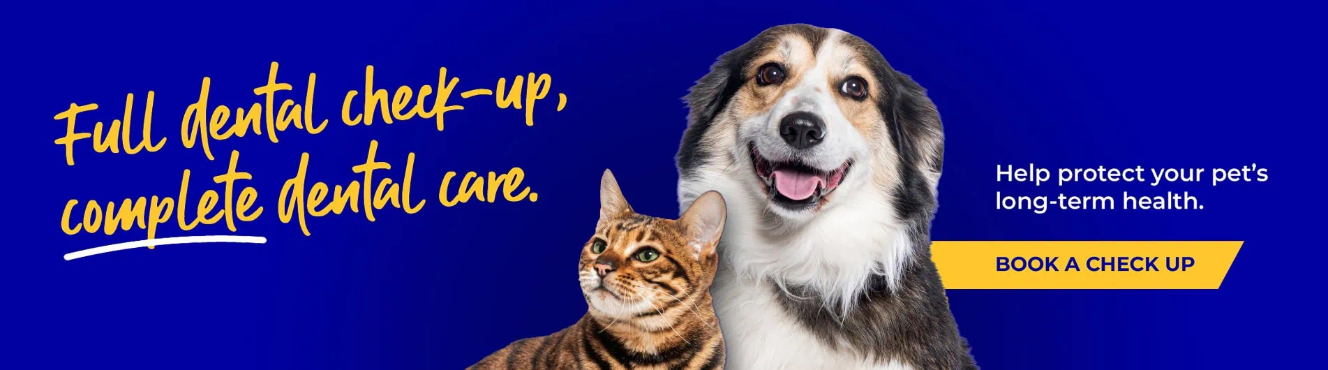 Garston Vets in Wiltshire and Somerset