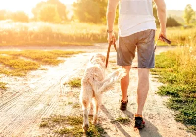 Get Andy's list of new activities to do with your dog in 2023