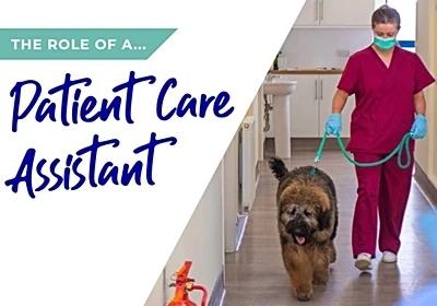 The role of a patient care assistant (PCA)