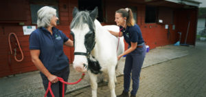 Two female vets caring for a white and black horse