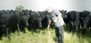Cows standing in front of a male vet