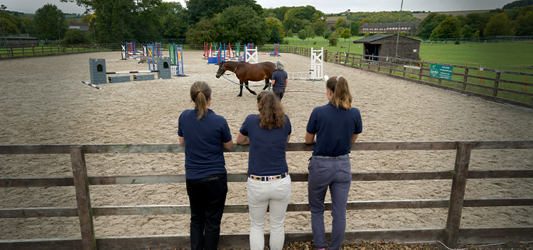 About our ambulatory equine vet practice in Frome