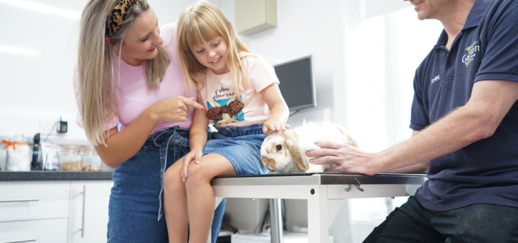 Vet and nurse clinics for pets in both Somerset & Wiltshire