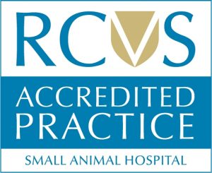 RCVS Accredited Small Animal Hospital