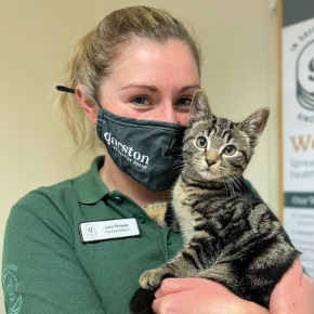 What’s in a meow? Our feline friendly nurses share their kitten behaviour tips