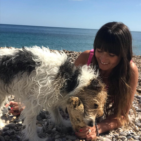 Our nurse Gemma shares 7 summer dangers dogs should avoid