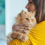 Signs and common causes of cat anxiety